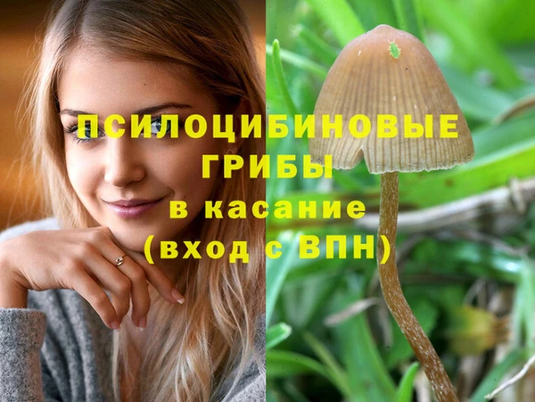 марки lsd Алексин