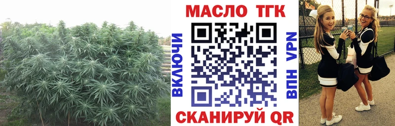 закладка  Камешково  KRAKEN   ТГК вейп с тгк 
