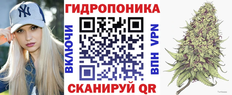 Шишки марихуана сатива  где найти   Камешково 